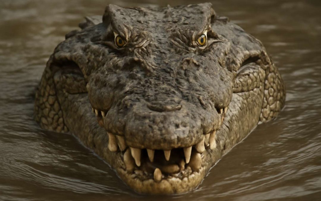 Shocking Encounters: How and Why Crocodile Eat People in the Wild