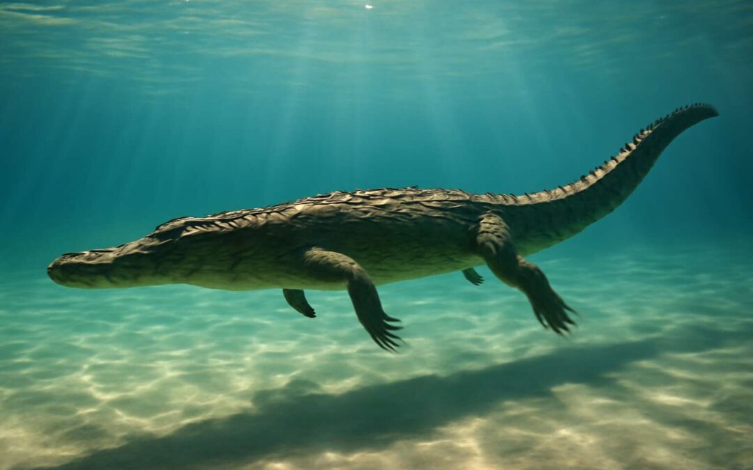 Unlocking how crocodile swim: the stealthy art of river gliding.