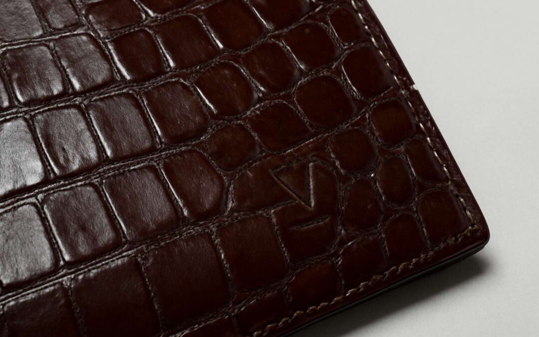 Unleash style with the crocodile brand: bold gear, timeless edge