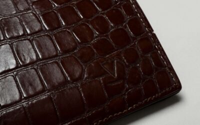 Unleash style with the crocodile brand: bold gear, timeless edge