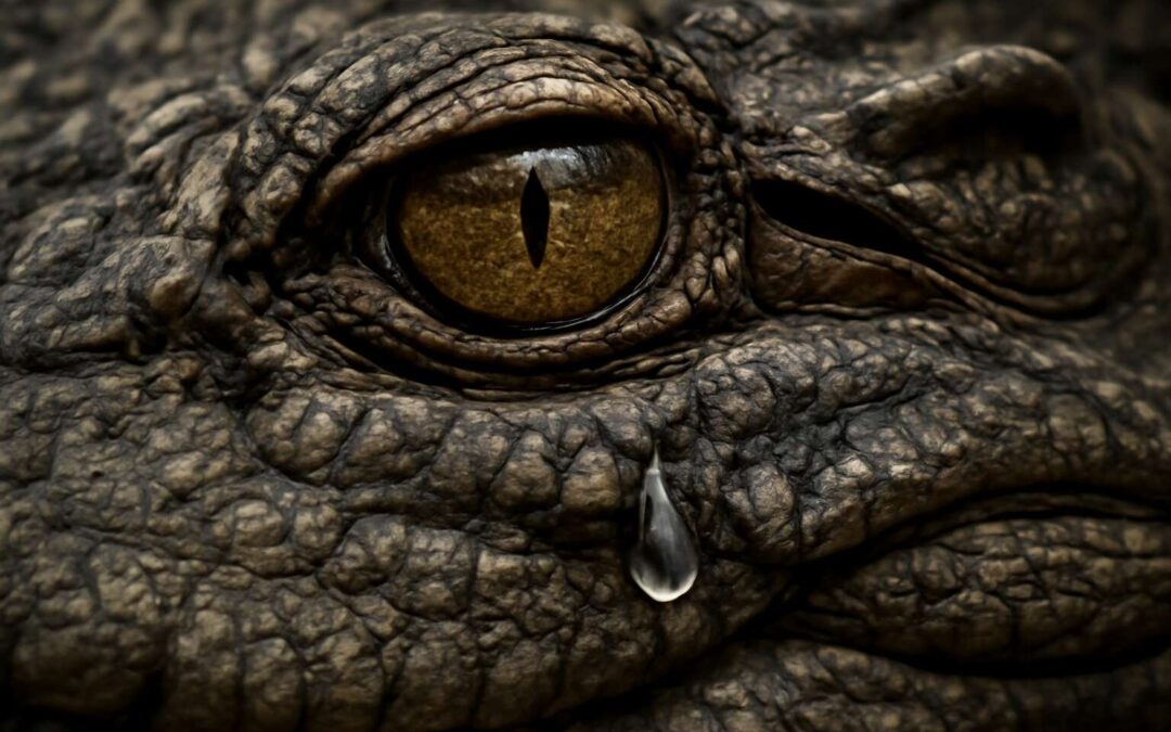 Unveiling crocodile tears meaning: how fake sorrow hides manipulation and deceit