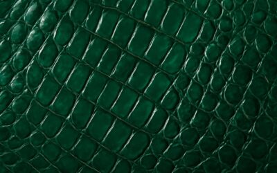 Trend alert: crocodile green steals the spotlight in fashion and decor