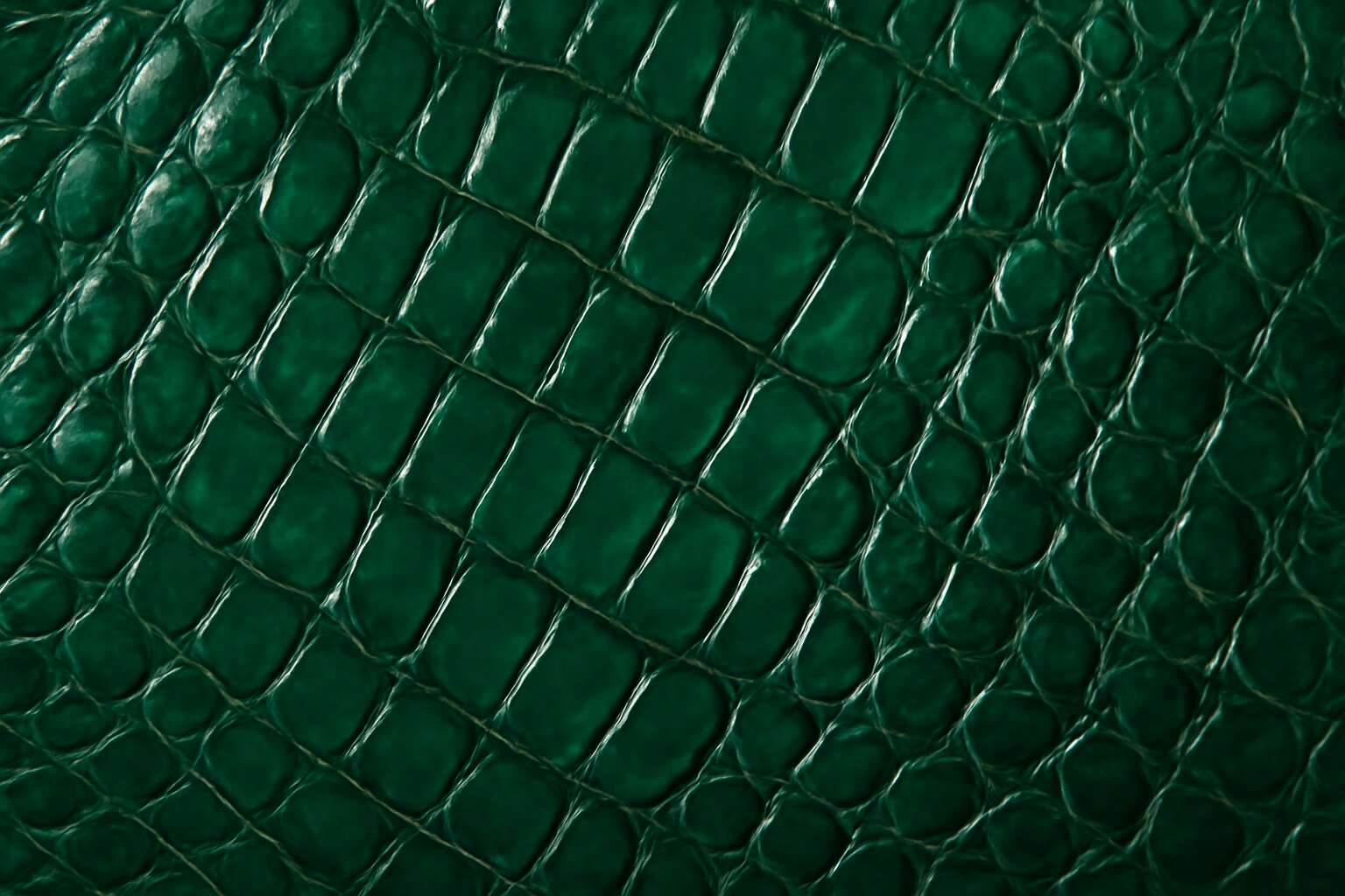 generated_image_6a3549184810a.jpg crocodile green